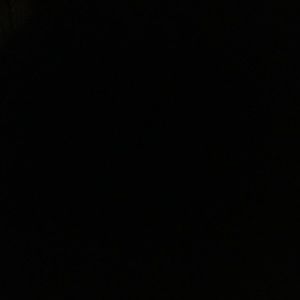 Meet your Posher, Isabella